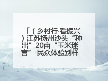 （乡村行·看振兴）江苏扬州沙头“种出”20亩“玉米迷宫” 民众体验别样“田园乐趣”