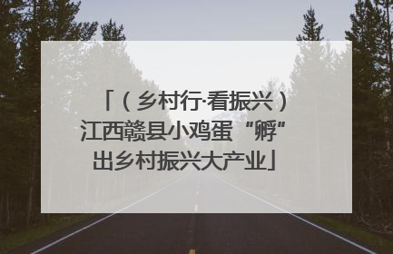 （乡村行·看振兴）江西赣县小鸡蛋“孵”出乡村振兴大产业