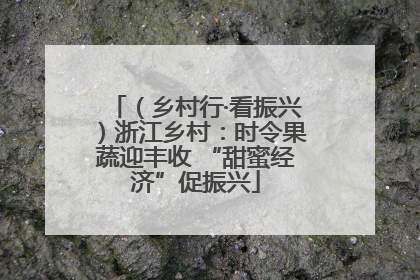 （乡村行·看振兴）浙江乡村：时令果蔬迎丰收 “甜蜜经济”促振兴