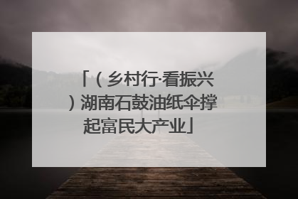 （乡村行·看振兴）湖南石鼓油纸伞撑起富民大产业