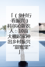（乡村行·看振兴）科尔沁新农人：10亩大棚起家种出乡村振兴“甜蜜果”