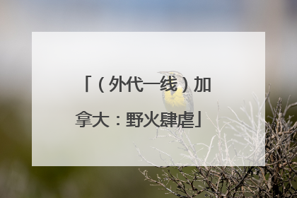 （外代一线）加拿大：野火肆虐
