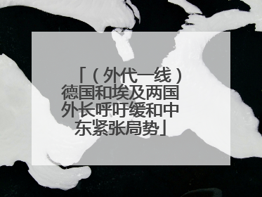 （外代一线）德国和埃及两国外长呼吁缓和中东紧张局势