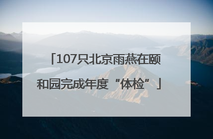 107只北京雨燕在颐和园完成年度“体检”