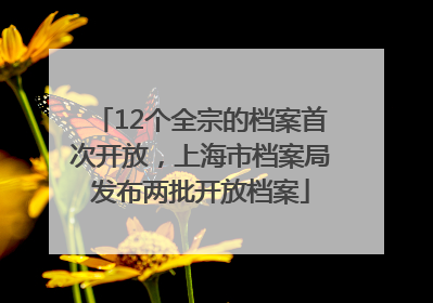 12个全宗的档案首次开放，上海市档案局发布两批开放档案