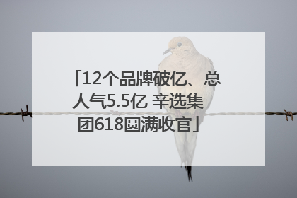 12个品牌破亿、总人气5.5亿 辛选集团618圆满收官