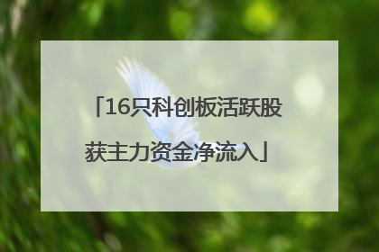 16只科创板活跃股获主力资金净流入
