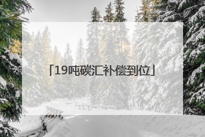 19吨碳汇补偿到位