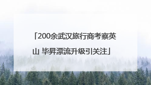 200余武汉旅行商考察英山 毕昇漂流升级引关注