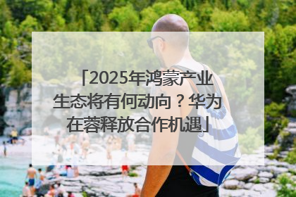 2025年鸿蒙产业生态将有何动向？华为在蓉释放合作机遇