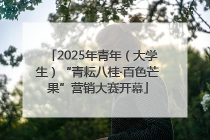 2025年青年（大学生）“青耘八桂·百色芒果”营销大赛开幕