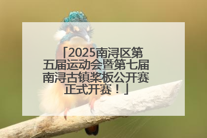 2025南浔区第五届运动会暨第七届南浔古镇桨板公开赛正式开赛！