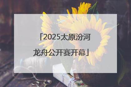 2025太原汾河龙舟公开赛开幕