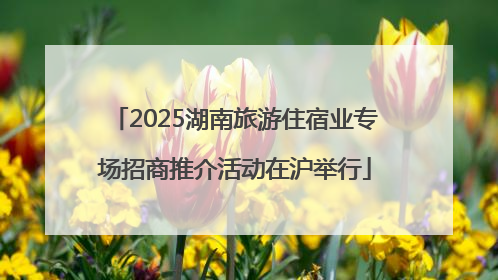 2025湖南旅游住宿业专场招商推介活动在沪举行
