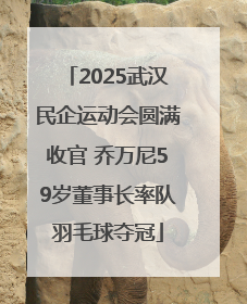 2025武汉民企运动会圆满收官 乔万尼59岁董事长率队羽毛球夺冠