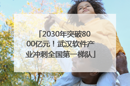 2030年突破8000亿元！武汉软件产业冲刺全国第一梯队
