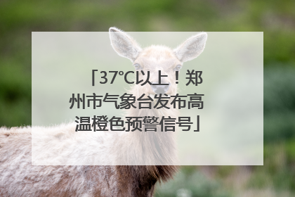 37℃以上！郑州市气象台发布高温橙色预警信号
