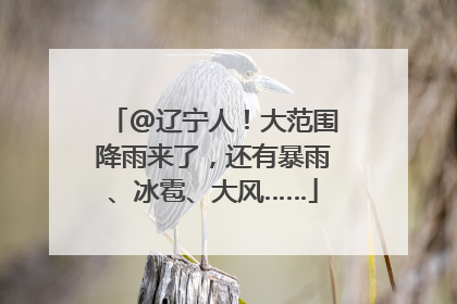 @辽宁人！大范围降雨来了，还有暴雨、冰雹、大风……