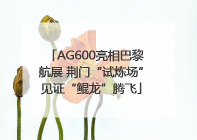 AG600亮相巴黎航展 荆门“试炼场”见证“鲲龙”腾飞
