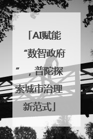 AI赋能“数智政府”，普陀探索城市治理新范式